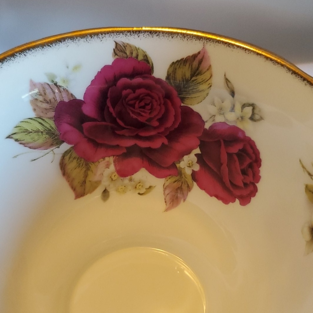 Royal Patrician TEACUP English Bone China VINTAGE Burgundy GOLD - Picture 8 of 11
